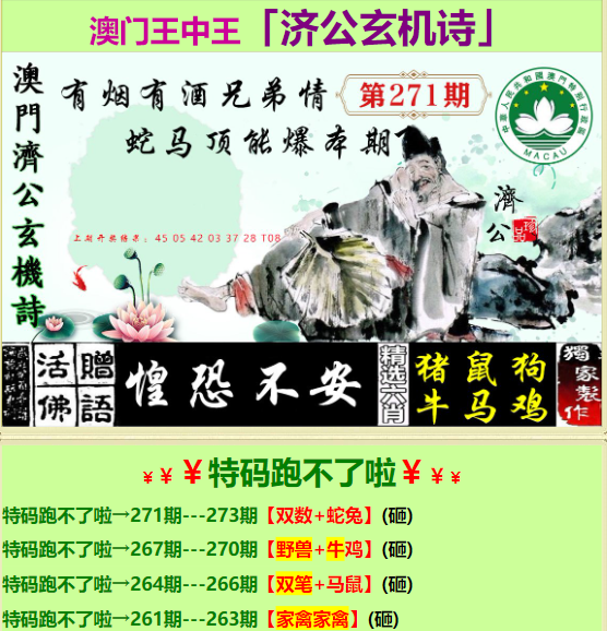 香港王中王493333中特1肖的魅力與探索，香港王中王特碼中特生肖的魅力與探索之旅