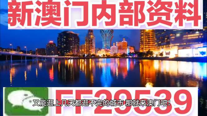 澳門特馬開獎結果，探索與期待，澳門特馬開獎結果揭曉，探索與期待的新篇章