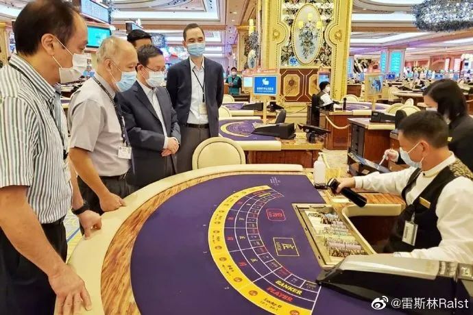 澳門今晚必開一肖一特，深度解析與預測，澳門今晚生肖特碼深度解析與預測，一肖一特必開趨勢探討