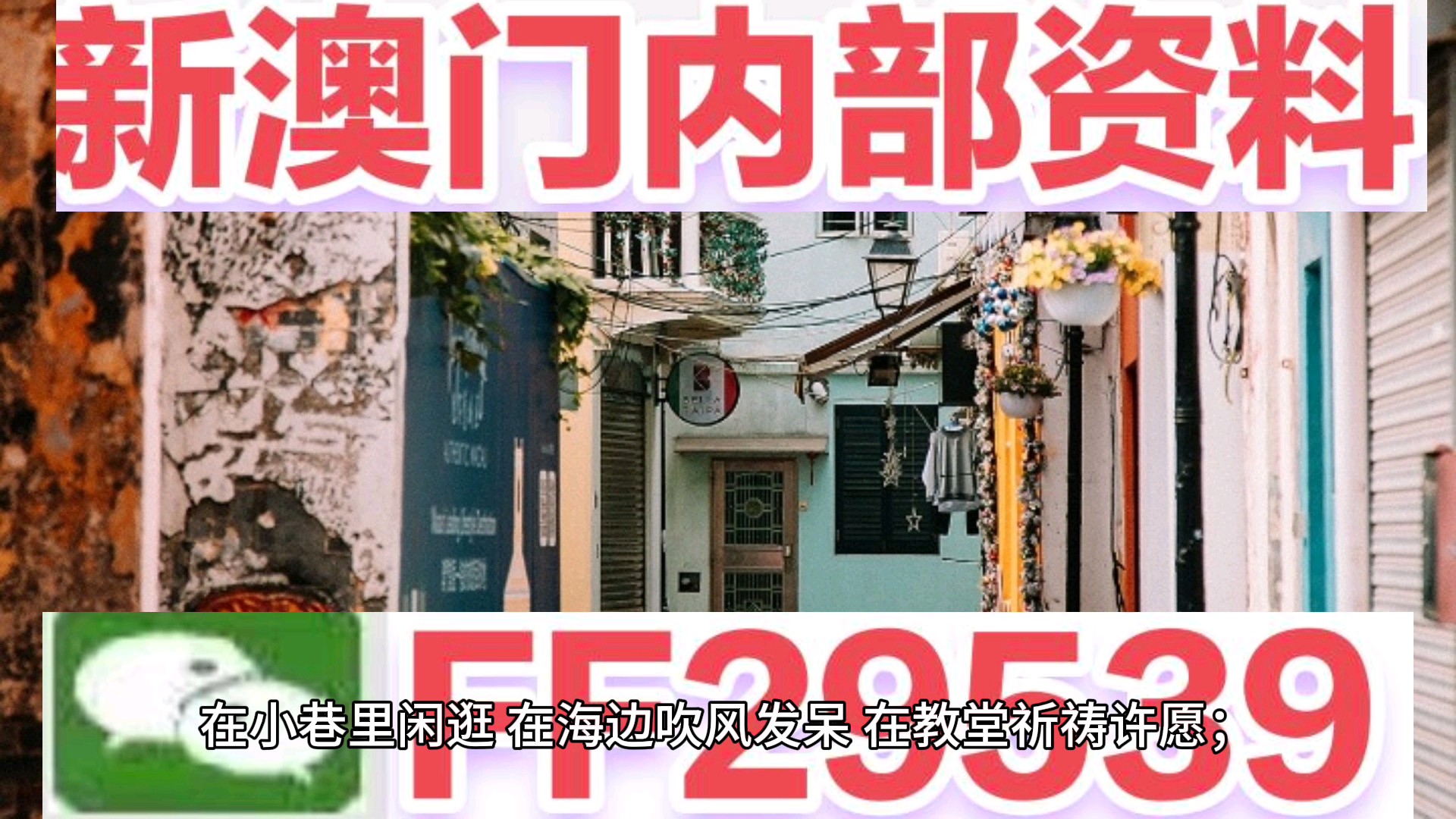 新澳門今晚開獎結(jié)果及開獎分析，澳門今晚開獎結(jié)果及深度分析