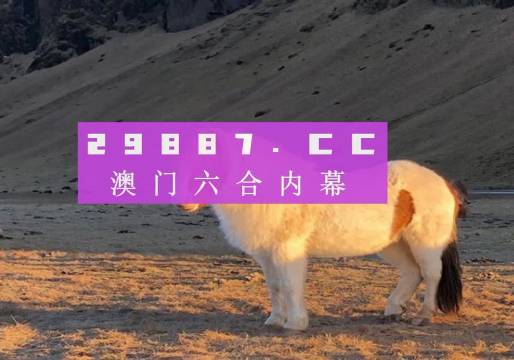 澳門最快開獎六開，探索與體驗，澳門六開彩開獎探索與體驗之旅