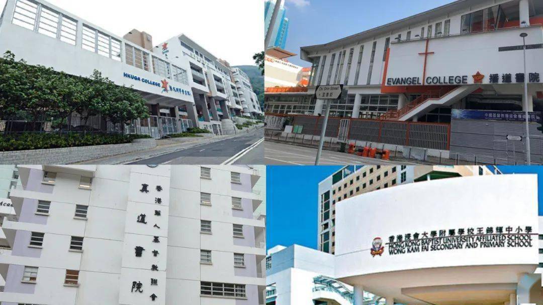 香港免費公開資料大全，探索與發現，香港免費公開資料大全，探索與發現的寶藏