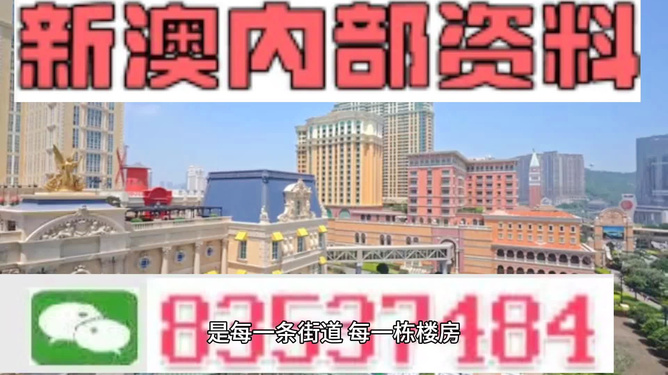 新澳門正版資料免費公開，探索與解讀，澳門正版資料揭秘，探索與解讀