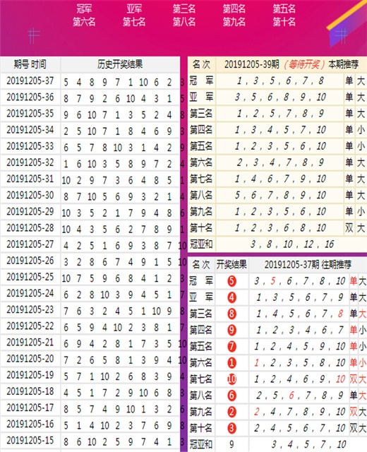 王中王動物一肖圖，揭示神秘背后的故事，王中王動物生肖圖，揭秘神秘背后的故事