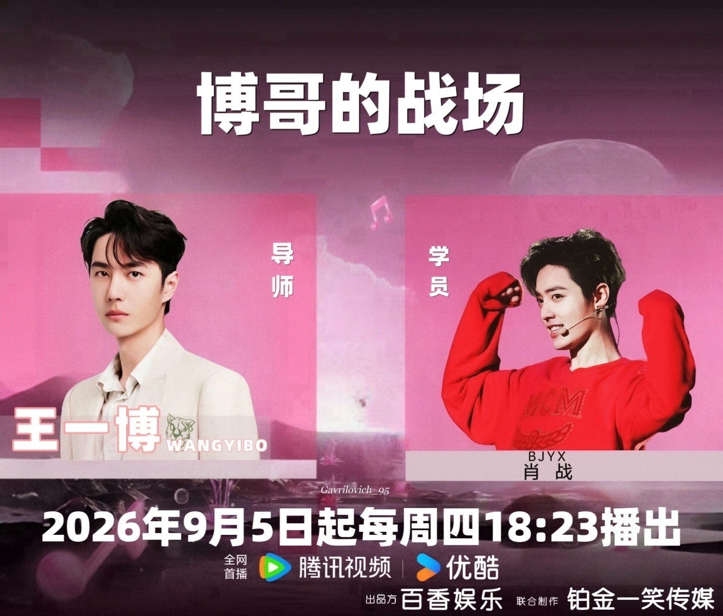 一肖王中王資料詳解，一肖王中王資料全面解析
