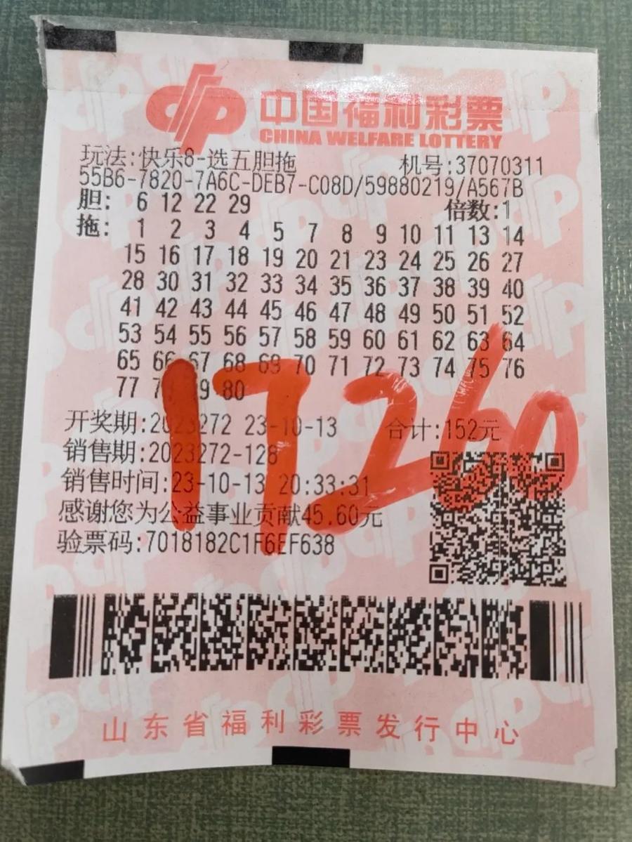 探索王中王一肖中特的獨特魅力，王中王一肖中特，獨特魅力的探索