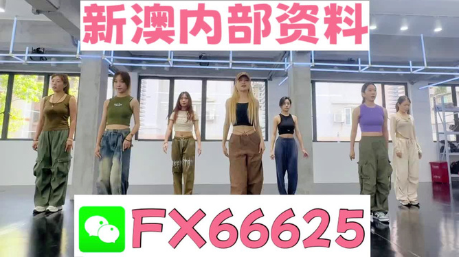新澳一碼一肖資料大全，探索與解析，新澳一碼一肖資料大全，深度探索與詳細解析