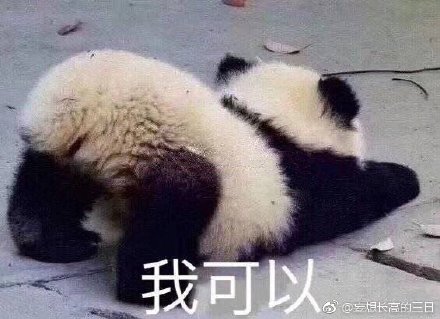揭秘劉伯溫四不像正牌一肖的神秘面紗，劉伯溫四不像正牌一肖的神秘面紗揭秘