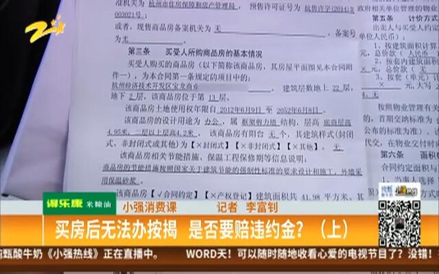 探究平特一肖買一百課中的奧秘與策略，探究平特一肖買一百課中的奧秘與實(shí)戰(zhàn)策略分享