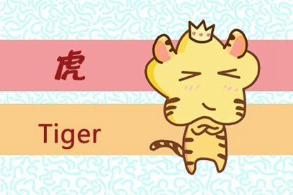 山中王中王，打一生肖——探尋生肖之王的奧秘，探尋生肖之王，山中王中王的奧秘