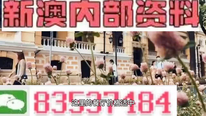 澳門最快開獎料，探索與揭秘，澳門開獎料揭秘，探索速度與真相