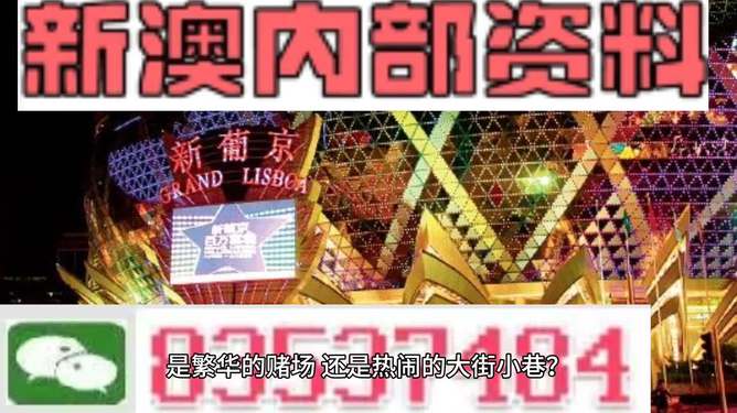 新澳門精準資料大全與管家婆料，探索與解析，澳門精準資料大全與管家婆料，深度探索與解析