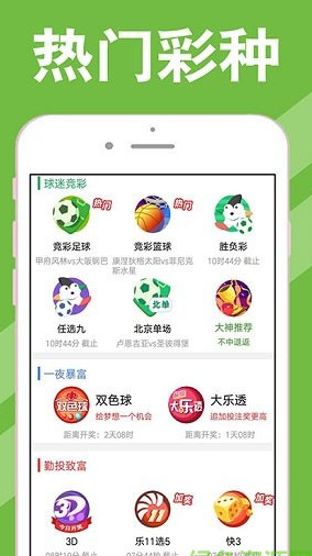 新澳天天開獎資料大全第262期詳解，新澳天天開獎資料第262期詳解概覽