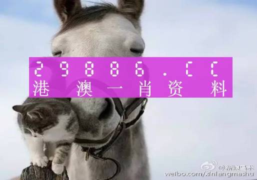 王中王必中一肖四不像圖，探索神秘圖騰背后的故事，神秘圖騰揭秘，王中王必中一肖四不像圖背后的故事