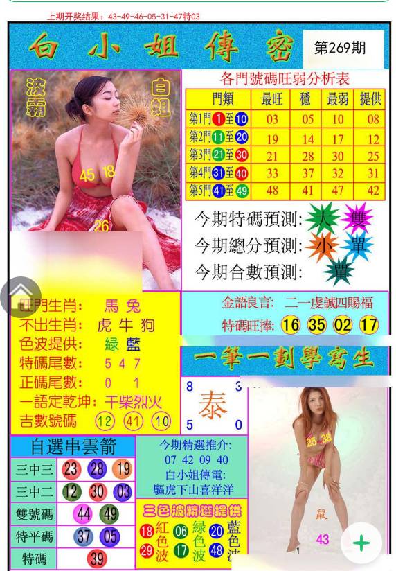 白小姐、王中王與平持一肖的奇妙世界，白小姐、王中王與神秘生肖傳奇