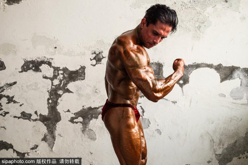 王中王四不像一肖中，探索神秘現(xiàn)象背后的真相，王中王四不像一肖中，神秘現(xiàn)象背后的真相探索