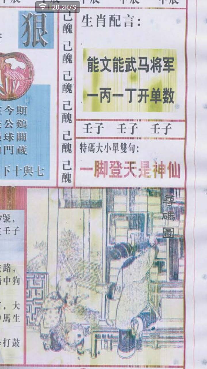 做天下王中王與生肖之韻，天下王中王與生肖文化韻味