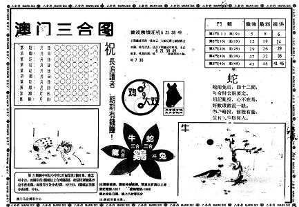 王中王資料特一肖中特 com，深度解析與探討，王中王資料特一肖中特深度解析與探討指南