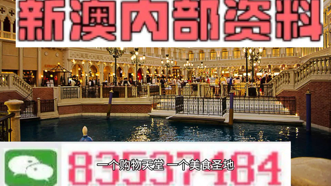 新澳門內部正版資料大全，探索與解讀，澳門內部正版資料大全，深度探索與解讀