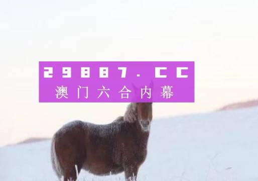 一肖中碼，探索彩票奧秘與預測之道，一肖中碼，揭秘彩票預測奧秘的探索之旅