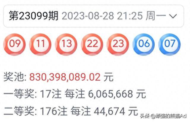王中王100期期準一肖，揭秘彩票背后的秘密與策略探討，揭秘彩票背后的秘密與策略探討，王中王精準預測一肖一碼