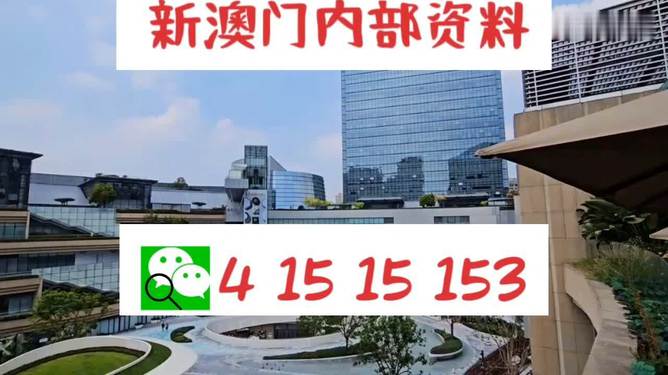 澳門金牛版免費資料網澳，探索與解析，澳門金牛版資料探索與解析