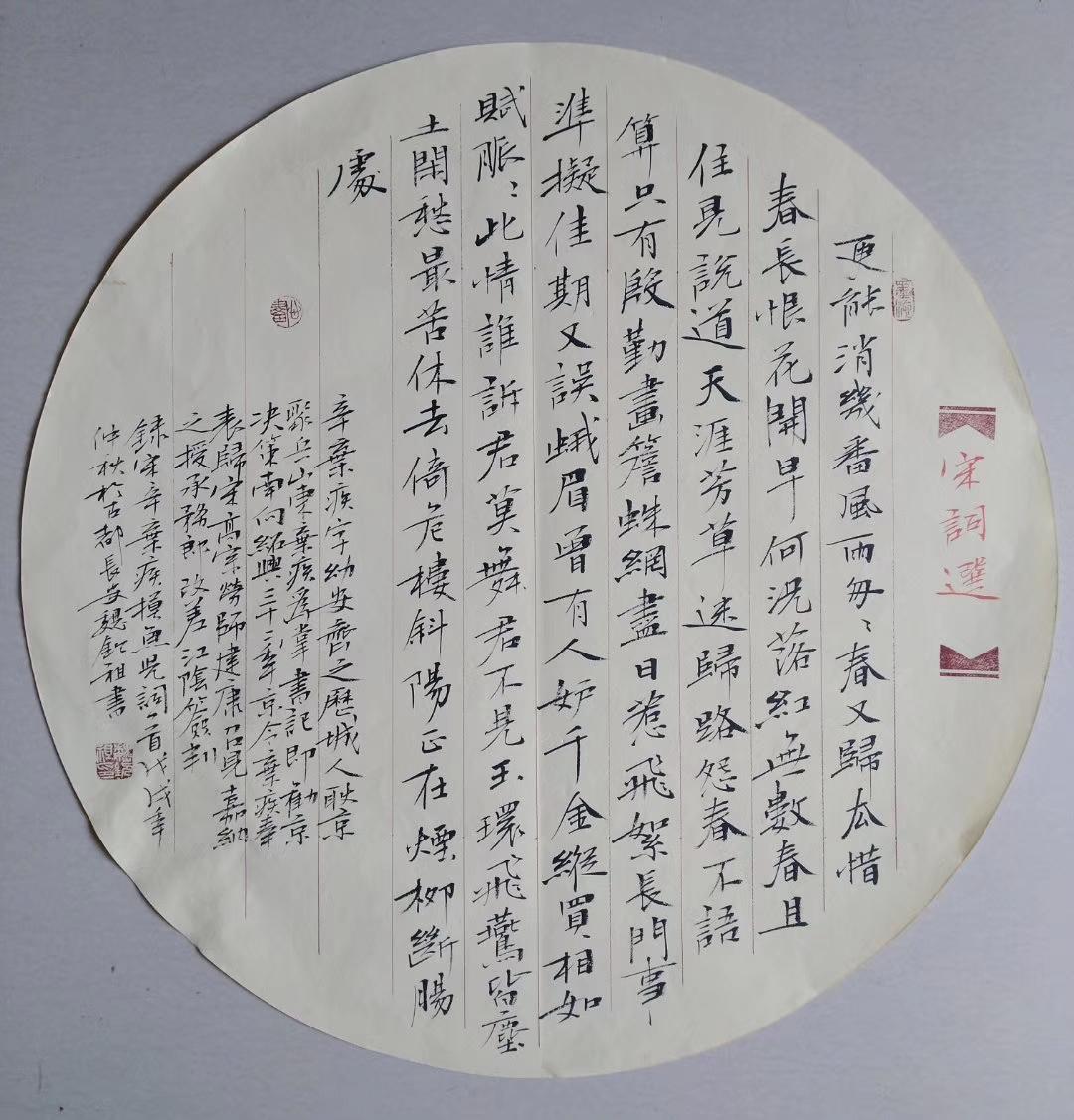 一肖規律破解，深度探索與解析，一肖規律破解，深度探索與解析揭秘