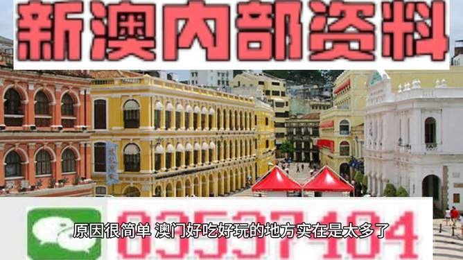 新澳門內部免費資料精準大全，探索與解讀，新澳門內部免費資料精準探索與深度解讀