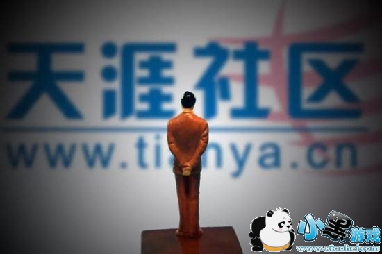 天涯論壇2017，網絡輿論的繁榮與變遷，天涯論壇2017，網絡輿論繁榮與變遷的見證