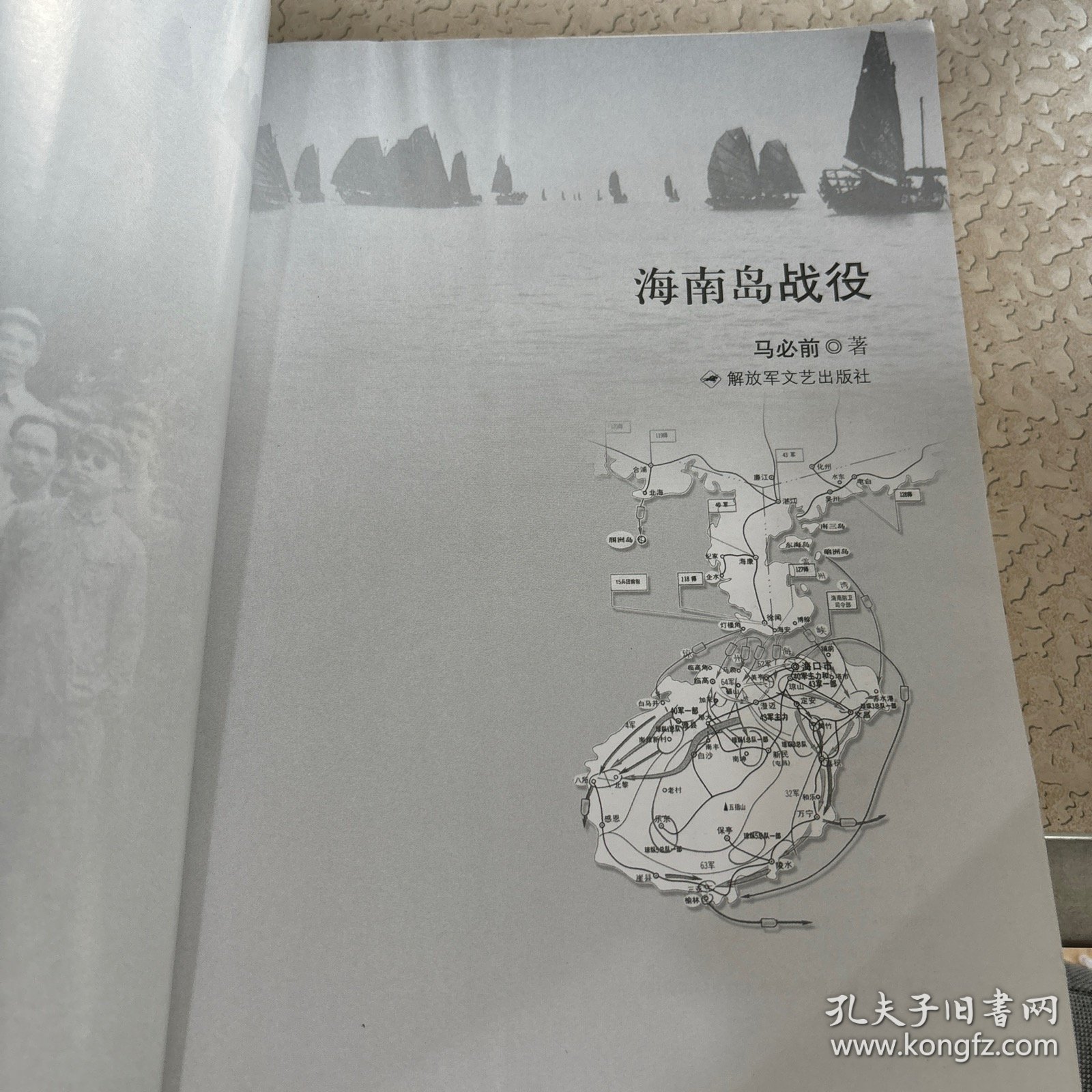 海南島登島戰役戰例分析，海南島戰役戰例深度解析